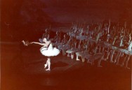 SWAN LAKE 73  Pares acte 2